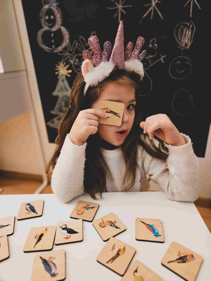 Wooden memory game with learning cards — Birds of Europe