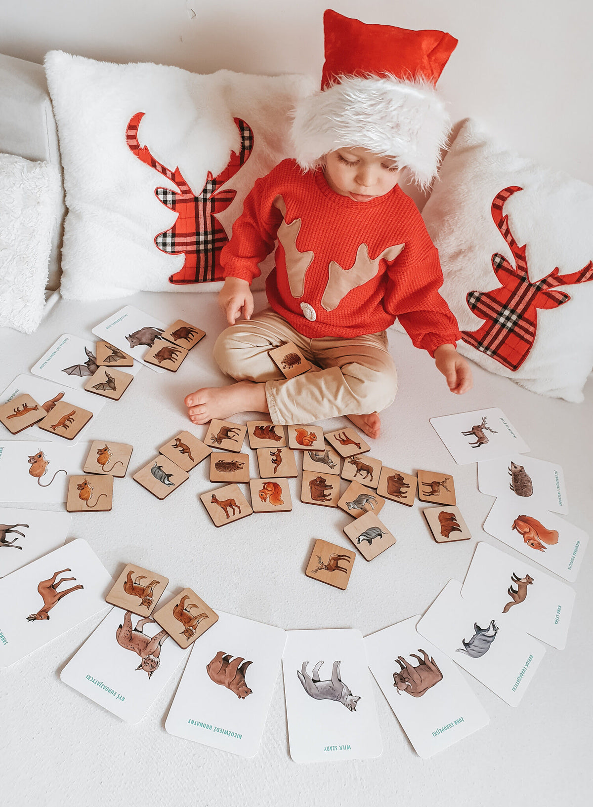 Wooden memory game with learning cards — Animals of Polish forests
