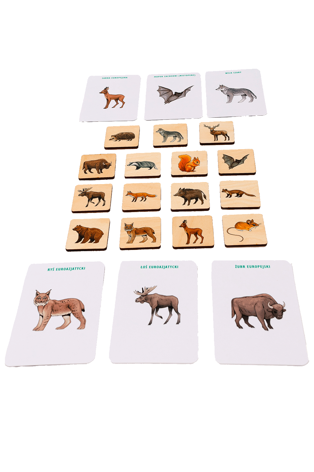 Wooden memory game with learning cards — Animals of Polish forests
