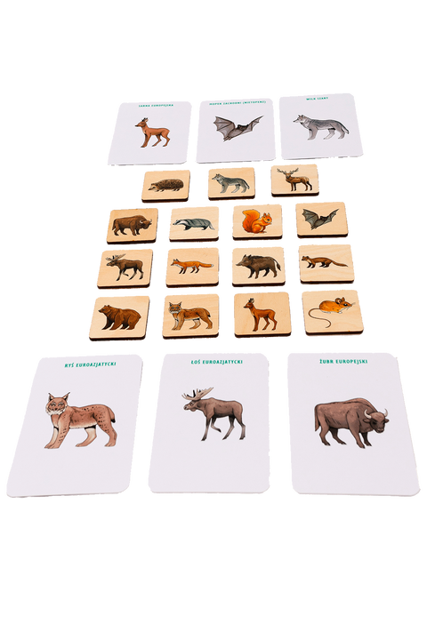 Wooden memory game with learning cards — Animals of Polish forests
